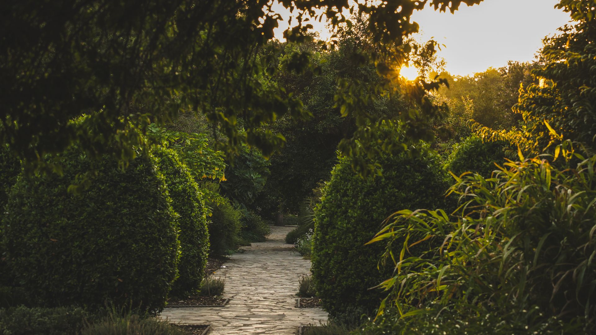 A flagstone garden pathway flanked by tall hedges leads into the distance, backlit by a golden sunset glowing through overhanging tree leaves.