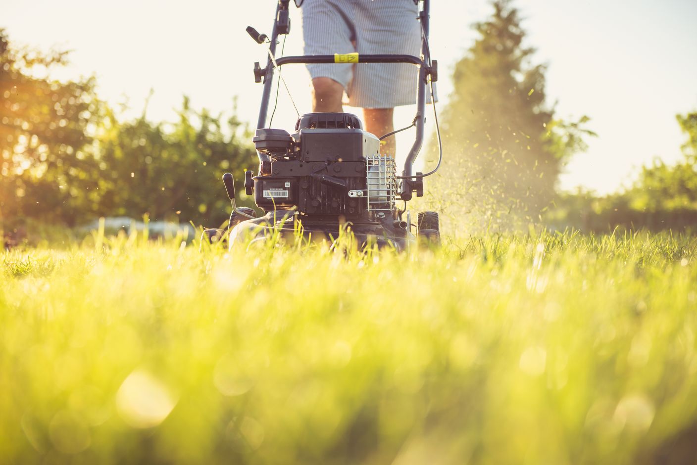 A person pushes a gas-powered lawn mower through a lush green lawn at golden hour, with grass clippings catching the backlight.
