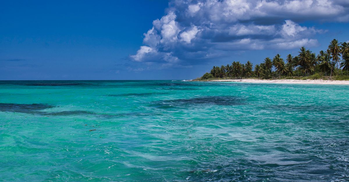 Turquoise Caribbean water meeting a white sand beach lined with palm trees under a partly cloudy sky.